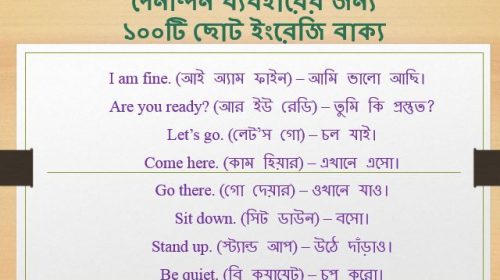 দৈনন্দিন ব্যবহারের জন্য ১০০টি ছোট ইংরেজি বাক্য